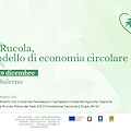 100% Rucola, un modello di economia circolare: giovedì 19 dicembre al Profagri di Salerno la presentazione del progetto e possibili ricadute economiche