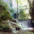 4 ottobre torna ‘Forestamica’, col Corpo Forestale dello Stato alla scoperta di Valle delle Ferriere 