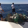 45 nasse da pesca sequestrate tra Marmorata e Atrani, multa salata per pescatore di Amalfi /FOTO 