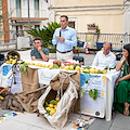 A Cetara nasce l’associazione “L’innesto” per la tutela dei limoneti /FOTO