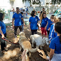 A Maiori la pet therapy arriva a scuola: grazie all'ENPA i bambini della paritaria consolidano lo spirito di aggregazione