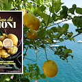 A Maiori si presenta il libro “Il Paese dei limoni”, che valorizza anche l'oro giallo della Costa d'Amalfi