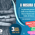 “A misura di mare”, 3 dicembre giornata dedicata al pescato locale a Santa Maria di Castellabate