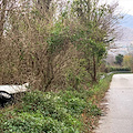 A Tramonti auto perde il controllo e si schianta contro un albero /FOTO