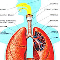 A Vietri una giornata sull’importanza della salute respiratoria