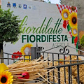 Agerola, 11 agosto "La Giornata del Casaro" con il Primo Trofeo sul giusto peso del Fiordilatte dedicato a Onofrio Fusco