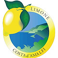 Agricoltura, Consorzio Limone Costa d'Amalfi offre consulenza per assegnazione finanziamenti PSR