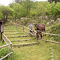 Al Parco Diecimare la Giornata delle Oasi