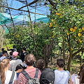 Al via la prima edizione del "Gran Tour Sorrento Walks", 15 chilometri di camminate, sospesi tra terra e mare