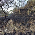 Altro incendio a Cava de' Tirreni, in fiamme vasta area in località Marini/SS. Quaranta