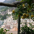 Amalfi, cade in giardino e precipita nel vuoto: paura per anziano di Vettica