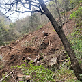 Amalfi: frana su stradina per Valle delle Ferriere, in azione elicottero con termocamera /FOTO