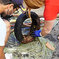 Ambiente. Sorrento: Giornata Ecologica del Mare, recuperati rifiuti a Marina Grande 