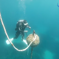 Amp Punta Campanella, nasce campo ormeggio a Le Mortelle: niente più ancore e danni alla posidonia 