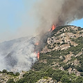 Ancora incendi in Costa d'Amalfi, alta colonna di fumo ad Erchie / FOTO 