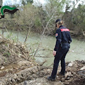 Animali denutriti e sversamenti abusivi, sequestrata azienda bufalina ad Eboli