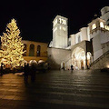 Assisi: accensione e benedizione presepe e albero Natale made in Campania per pace in Medio Oriente