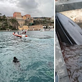 Balenottera si arena nel porto di Sorrento e muore, Cacace: «Non è colpa di nessuno, evento naturale»