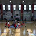 Basket Under 15: ancora una sconfitta per il G.S. Minori