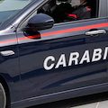 Bergamo-Udine in 2 ore e mezza per trasportare rene da trapiantare: corsa contro il tempo dei carabinieri