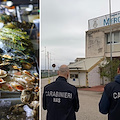 Blitz dei NAS al mercato ittico di Salerno: quattro diffide per “non conformità” igienico-sanitarie