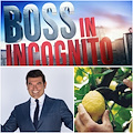 Boss in incognito: imprenditore della Costa d’Amalfi protagonista del docu-reality su Rai 2