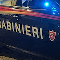 Camorra, duro colpo al clan Mallardo: 25 arresti e sequestri per milioni di euro