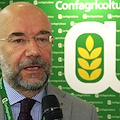 “Campagna Felix”, nasce la community dell’agroalimentare 