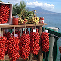 Campania all’avanguardia per qualità agroambientale e controlli, se ne discute il 3 settembre a Minori