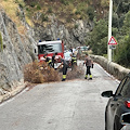 Capo d'Orso, rami cadono sulla Statale 163: prestare attenzione alle condizioni meteo