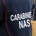 Carabinieri del Nas ad Atrani, controlli a un ristorante