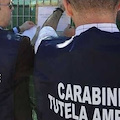 Carabinieri del NOE nelle lavanderie di due alberghi in Costiera Amalfitana