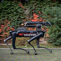 Carabinieri, entra in servizio il cane robot “Saetta”