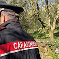 Carabinieri, scoperti 18 lavoratori in nero: sospese due aziende agricole a Sarno