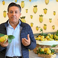 Carlo De Riso porta il Limone Costa d’Amalfi IGP su La7 a “L’ingrediente perfetto” [FOTO e VIDEO]