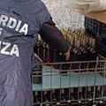 Caserta, vini contraffatti venduti a ristoranti e negozi compiacenti: sequestrati 35mila litri