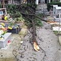 Cava, cimitero devastato dal vento: tombe danneggiate e alberi divelti