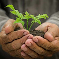 Cava de' Tirreni: 23 aprile convegno su sviluppo agricoltura locale