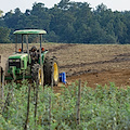 Cava de' Tirreni: 23 novembre il convegno “Il Valore sociale dell’Agricoltura, buone pratiche ed esperienze a confronto”