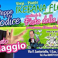 Cava de' Tirreni celebra la Festa della Mamma con il comico Peppe Iodice