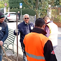 Cava de' Tirreni, in corso la piantumazione di 105 nuovi alberi