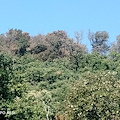 Cava de' Tirreni, spento l'incendio sulle colline della Badia 