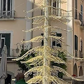 Cava de' Tirreni, un primo sguardo al nuovo Albero di Natale 