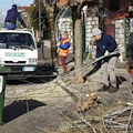 Cava, verde pubblico: interventi a corso Mazzini