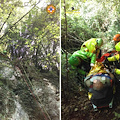 Cercatore di funghi precipita in un dirupo a Montecorvino Rovella 