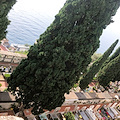 Commemorazione dei defunti, gli orari di apertura del Cimitero di Minori