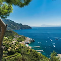 Con “Amalfi Coast’s Lands” si può adottare un albero e tutelare l’ecosistema