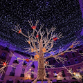 Con l'accensione dell'albero di Natale al via "Luci d'Artista 2022", Sindaco: «Da Salerno messaggio di speranza e di luce»