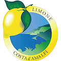 Consorzio Limone Costa d'Amalfi: assemblea per approvazione modifiche a disciplinare di produzione