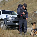 Contrasto ai bocconi avvelenati: Carabinieri Forestali bonificano le campagne in provincia di Cuneo 